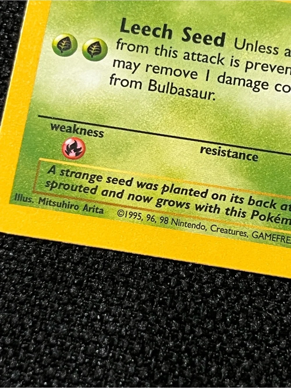 Pokemon official pokémon